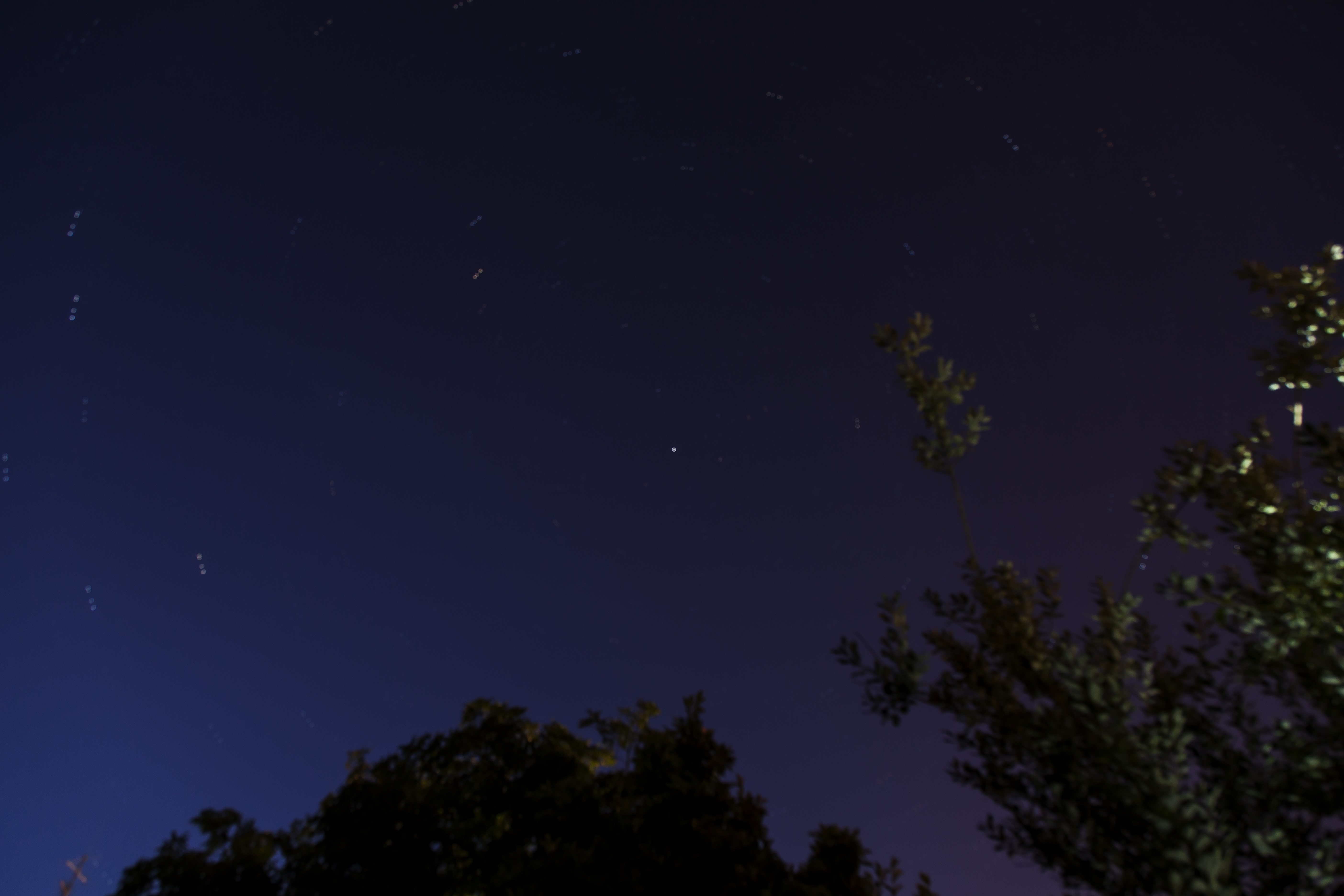 MG_0025_8