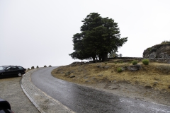 und das gehörte auch dazu: Regen und Nebel in den Bergen