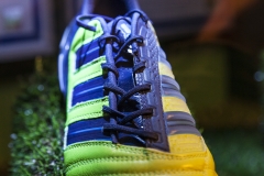 Robin van Persie`s Schuh