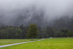 Neuschwanstein - irgendwo da