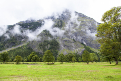 Großer Ahornboden