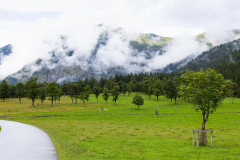Großer Ahornboden