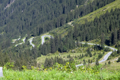Kurvenreich