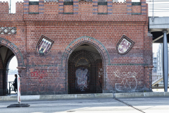 MG_9289-Gross