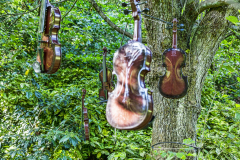 Die Geigen hängen hoch im Sinneswald