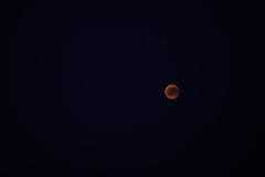 Mond mit begleitendem Personal