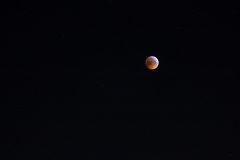 totale Mondfinsternis 21.01.2019
