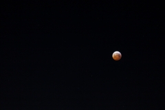 totale Mondfinsternis 21.01.2019