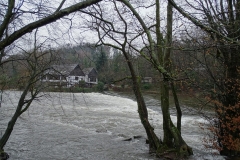 DSC00137-Groß