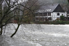 DSC00140-Groß