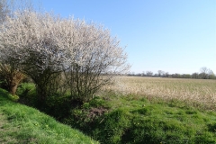 DSC00149-Groß