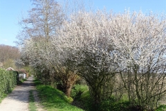 DSC00159-Groß
