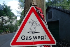 DSC00995-Groß