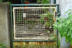 DSC02957