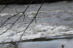 DSC00025-Groß