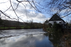 DSC00042-Groß