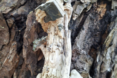 IMG-20260724-WA0005