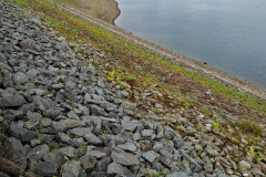 IMG-20260919-WA0006-Gross