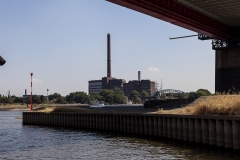 _MG_0384