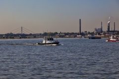 _MG_0385