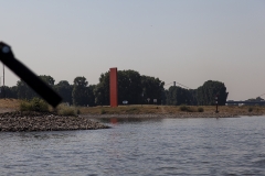 _MG_0386