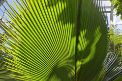 IMG-20260712-WA0001