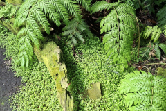 IMG-20260712-WA00081