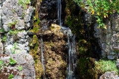 MG_3842-Gross
