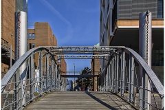 _MG_1151