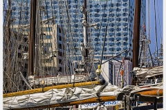 _MG_1174