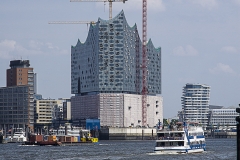 _MG_1215----