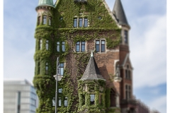 _MG_1435