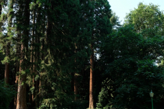 DSCF0033