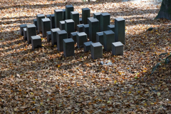 DSCF0148