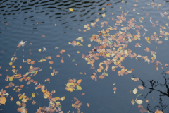 DSCF0189