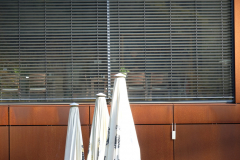 DSCF0203