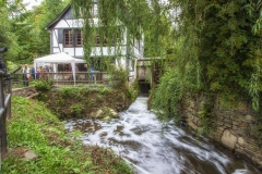 MG_3083-Groß