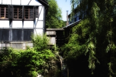 MG_9647-Groß