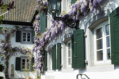 RheinRiver Guesthouse