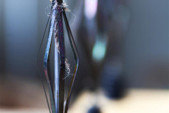 MG_2238-Gross