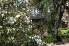 Japan. Garten Lev.