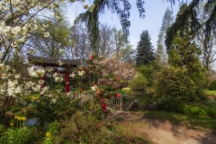 Japan. Garten Lev.