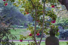 Japan. Garten Lev.