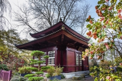 Japan. Garten Lev. Teehaus