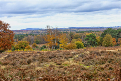 Herbst_9532-Gross