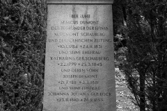 Dumont Schauberg