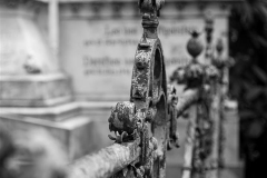 MG_9006-Gross