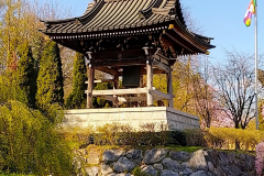 IMG_20260321_143655_HDR2-Gross