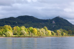 Herbst-1-Rhein-Gross