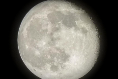 Mond-1-Gross